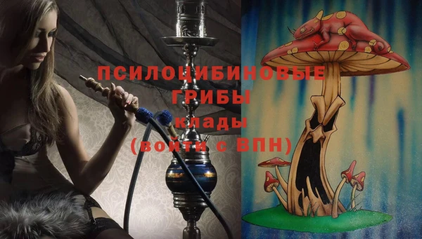 ешки Абинск
